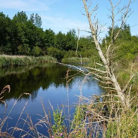 Graugans בית נופש