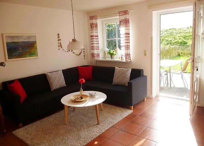 Graugans Nyaraló Tönning